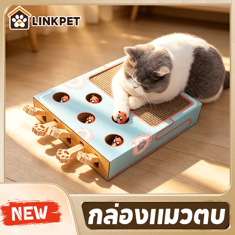 กล่องแมวตบ ของเล่นแมว ที่ลับเล็บแมว กระดาษลูกฟูก โซฟาลับเล็บแมว