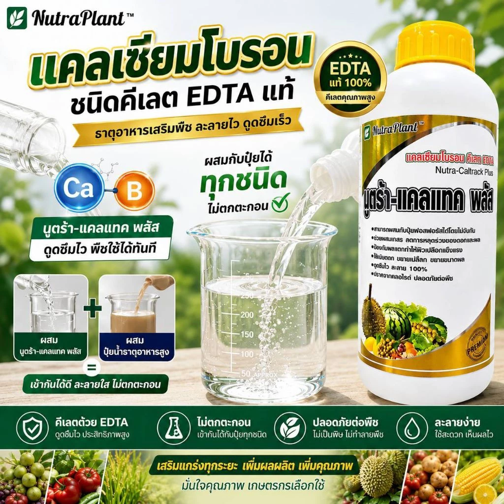 นูตร้า-แคลแทค พลัส (1ลิตร) แคลเซียม-โบรอนคีเลต EDTA แท้ ละลายไว ดูดซึมเร็ว ผสมปุ๋ยได้ทุกชนิดไม่ตกตะกอน พืชแข็งแรง