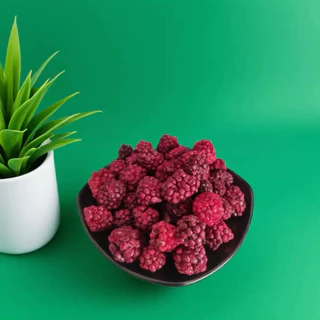[ZC] แบล็กเบอร์รี่ฟรีซดราย Freeze Dried Blackberry ผลไม้ฟรีซดรายสำหรับสัตว์เลี้ยงฟันแทะทุกชนิด กระปุกขนาด 10 g.