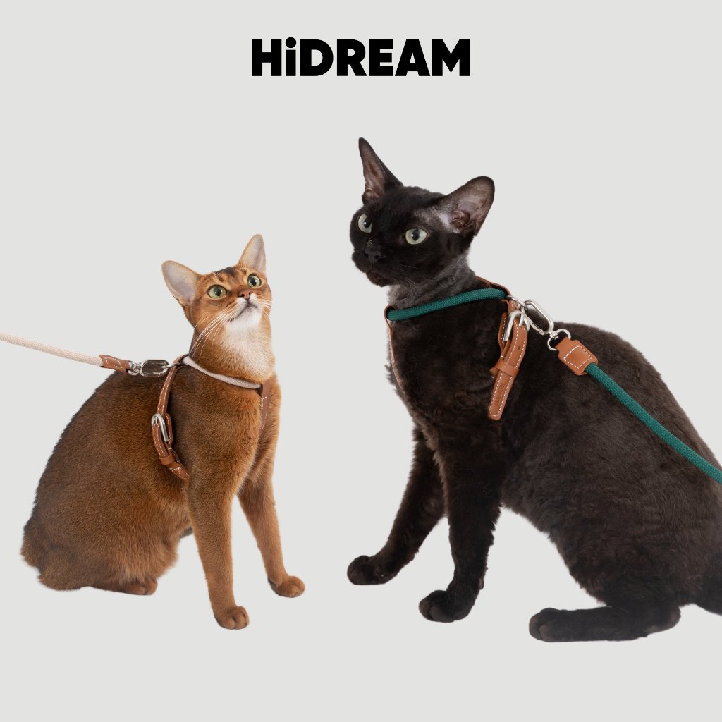 [ส่งด่วน] HiDREAM สายจูงแมว Cat Harness & Leash Set ทรง X ใส่ง่าย กระชับ ไม่หลุด เชือกนุ่ม ไม่บาดขน