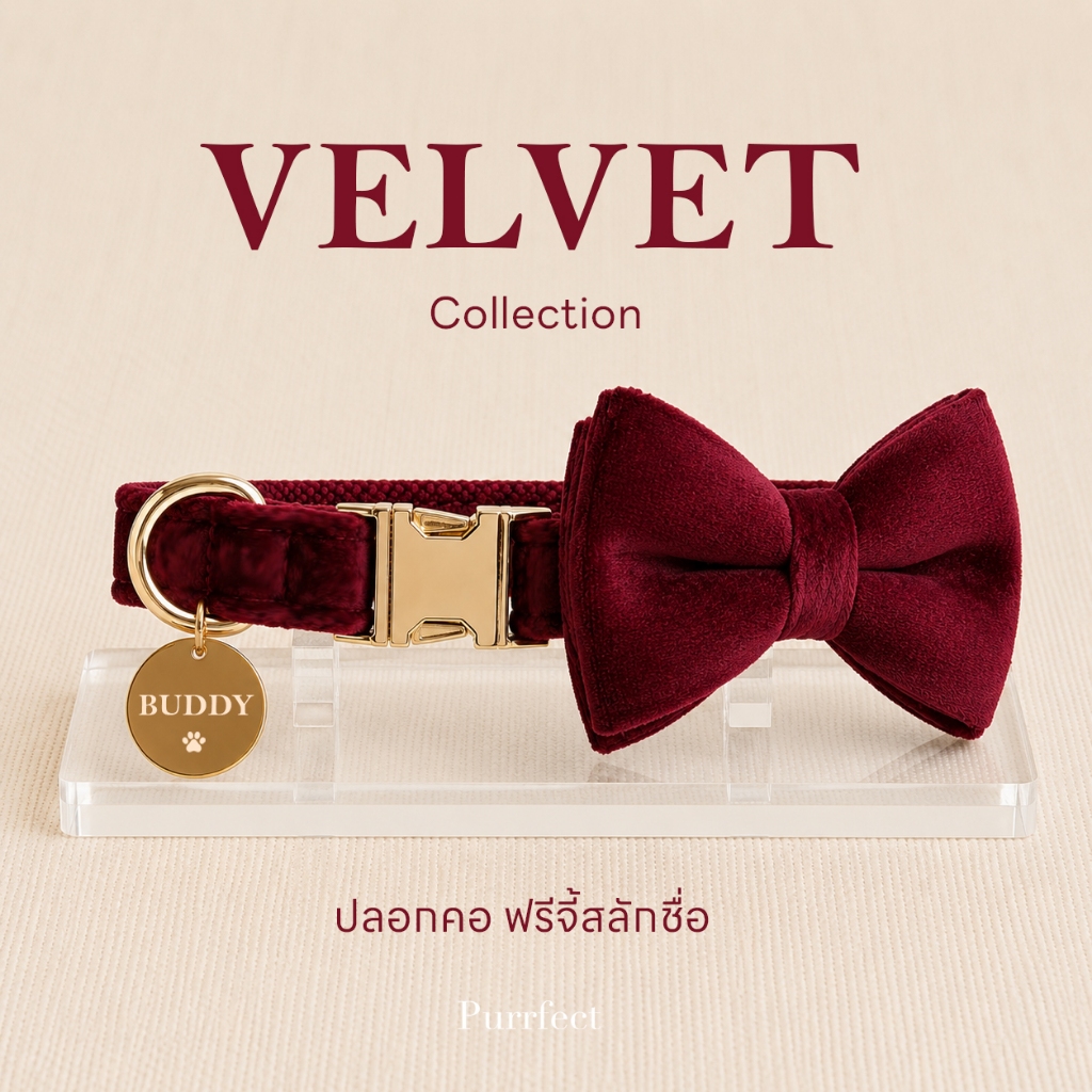 Velvet Collection ปลอกคอสุนัขและแมว พร้อมโบว์ แถมฟรีจี้สลักชื่อ **ใช้เวลาไม่เกิน1-4วันจัดส่ง