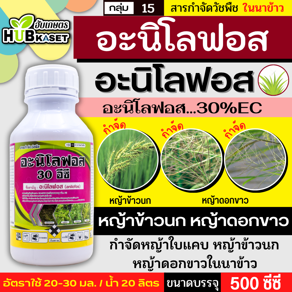 โกลอะนิล 500ซีซี (อะนิโลฟอส) ใช้ได้ทั้งก่อนและหลังวัชพืชงอกคุมวัชพืชในนาหว่านน้ำตม ทั้งใบแคบ ใบกว้างและกก