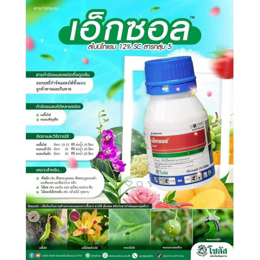 เอ็กซอล (250ซีซี) จุดจบของหนอนร้าย และเพลี้ยไฟดื้อยา สไปนีโทแรม 12% SC หนอน หนอนข้าวโพด หนอนกระทู้