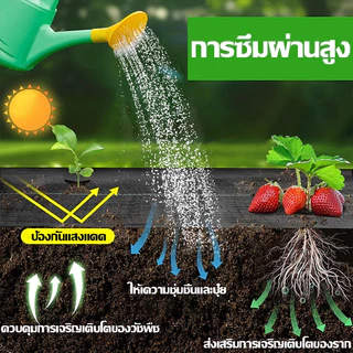 ผ้ารองกันวัชพืชสำหรับเกษตร ผ้าคลุมกันวัชพืช หนา ทนทาน ผ้าปูพื้นสำหรับทำสวน ผ้าคลุมต้นไม้ในสวน ผ้าคลุมวัชพืช ผ้าคลุมวัชพื