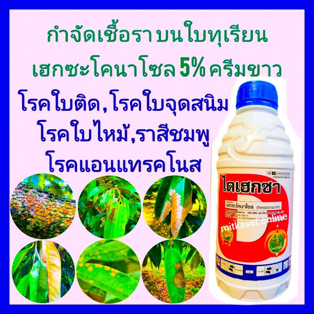 เฮกซะโคนาโซล 5% กันเชื้อราทุเรียน กำจัดเชื้อราทุเรียน โรคพืช 1 ลิตร ประเภทดูดซึม โรคใบติด ใบไหม้ โรคราสนิม ยาทุเรียน ราคา ถูกที่สุด ดีลบีเคเค