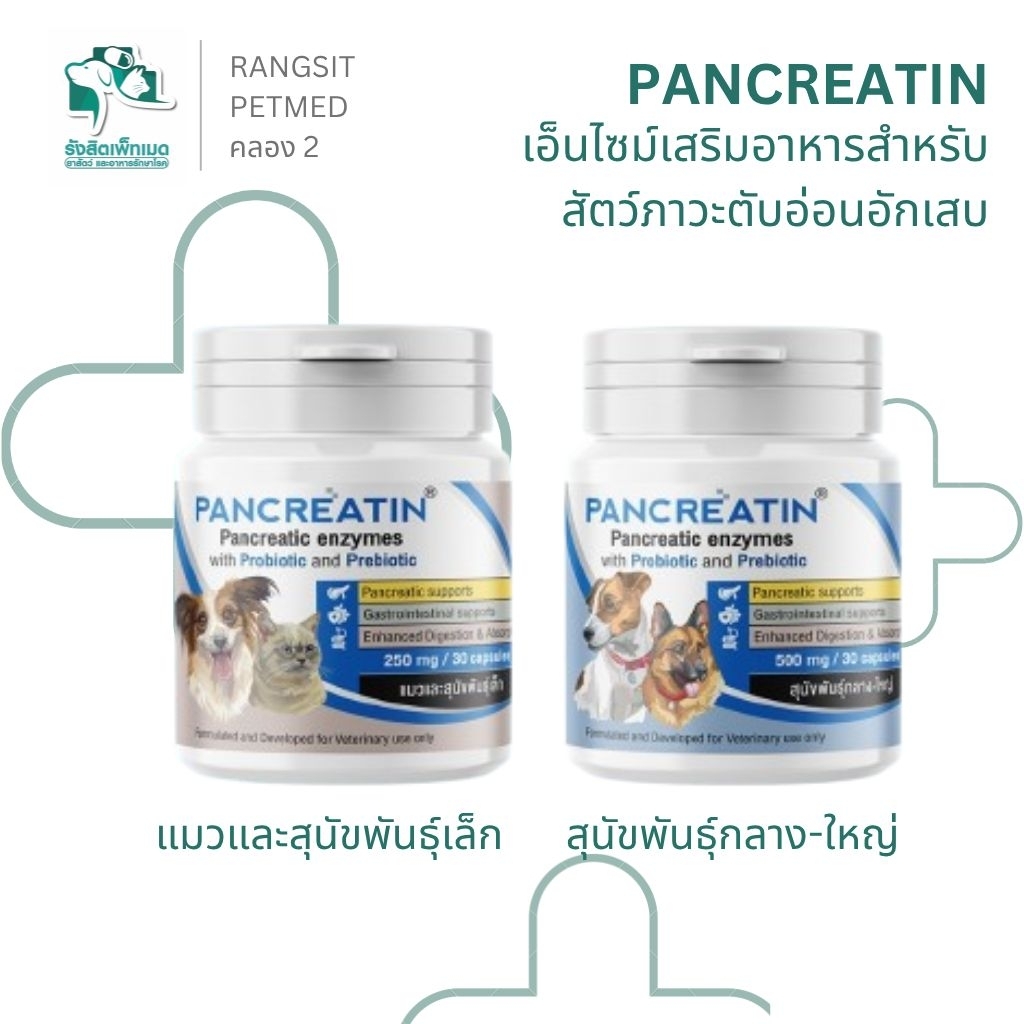 Pancreatin Pet Enzyme เอนไซม์ช่วยย่อย สำหรับสัตว์เลี้ยง ภาวะตับอ่อนทำงานผิดปกติ สุนัขและแมว