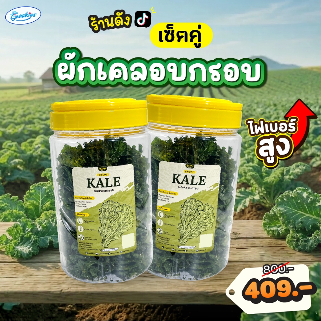 [เซ็ตคู่] ผักเคลอบกรอบ 2 ถัง ออร์แกนิก ไขมันต่ำ ไม่ทอด กรอบอร่อย กินเพลิน ขนม ของกิน snackies
