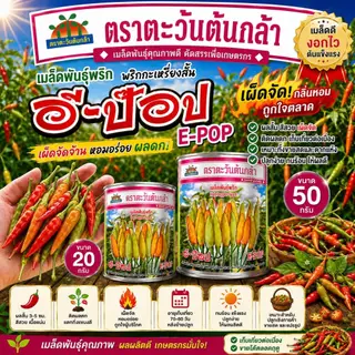 เมล็ดพันธุ์พริกกะเหรี่ยงคัดพิเศษ อีป็อป (ตะวันต้นกล้า) ขนาด 20-50 กรัม