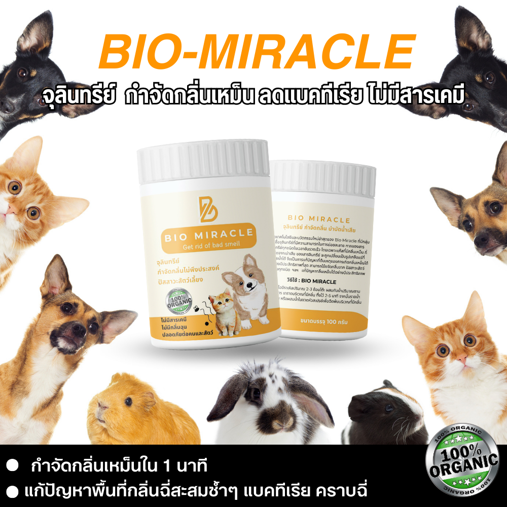 BIO Miracle ดับกลิ่นฉี่แมวบนที่นอน โซฟา พรม สูตรปลอดภัยต่อสัตว์เลี้ยง