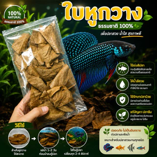 ใบหูกวาง 🐟 ดูแล รักษา ปลากัด 5ถุงแถม1