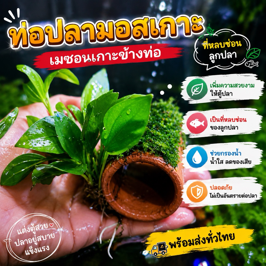 (อเมซอน​เกาะข้าง..ท่อมอสจริง)​🍀🌿