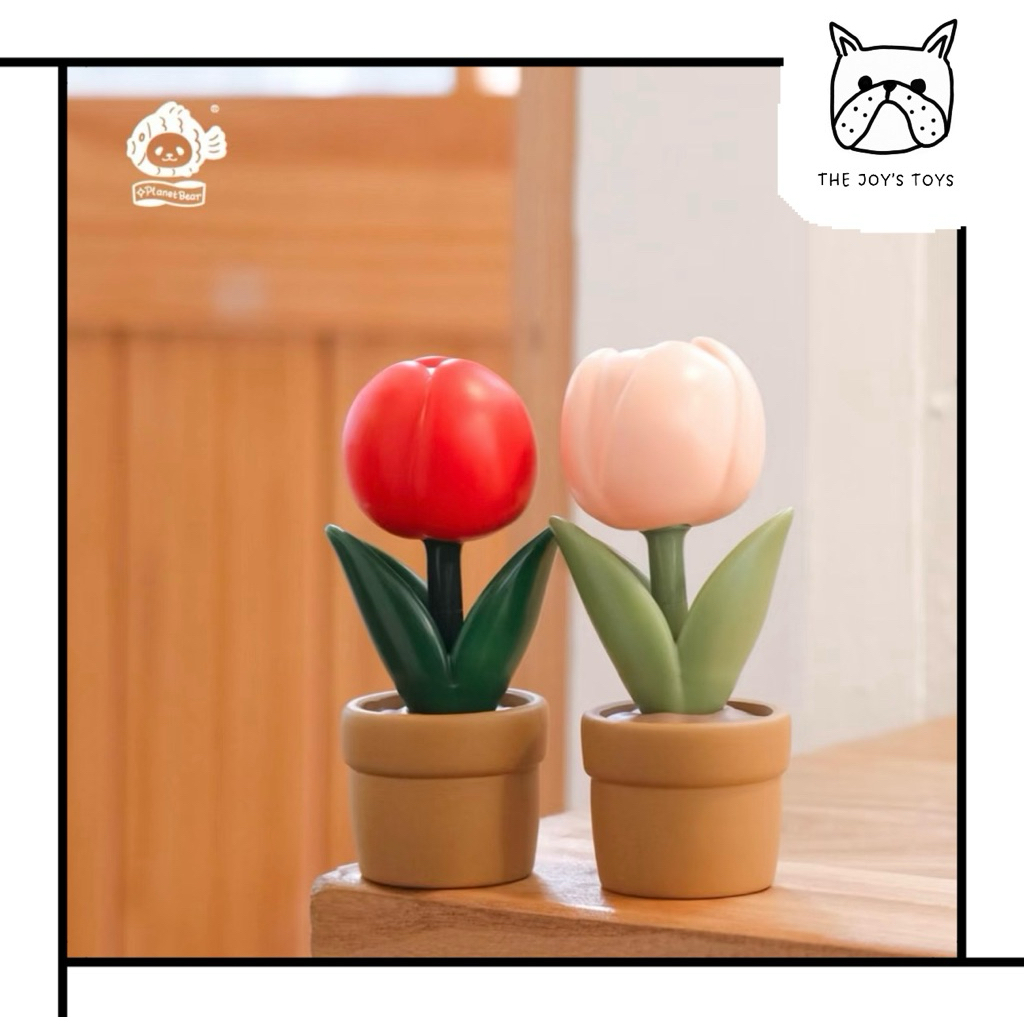[พร้อมส่ง]✨🌷Planet Bear Janefer‘s Lucky Red/Pink Tulip Potted Pen🪴กระถางทิวลิปแดง ชมพู ของเจเนเฟอร์ แท้ 100%