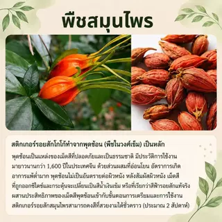 ส่งCODในไทย📦สติกเกอร์รอยสักสมุนไพรลวดลายเรขาคณิตย้อนยุคเหมือนสักจริง กันน้ำ ไม่เจ็บผิว ติดทนนาน15 วัน