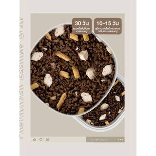เครื่องให้อาหารอัตโนมัติ 4L Smart pet Feeder ตั้งเวลาและปริมาณอาหารอัจฉริยะผ่าน WiFi ให้อาหารจากระยะไกล