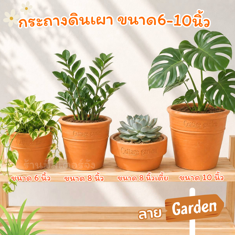 กระถางดินเผาลาย Cottage Garden ขนาด 6-10นิ้ว