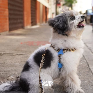 VELKYBARK [พร้อมส่ง] iCANDOR 🇰🇷 No-Pull Harness สายรัดอกสัตว์เลี้ยง สายรัดตัวสุนัข เสื้อรัดอก Dog harness