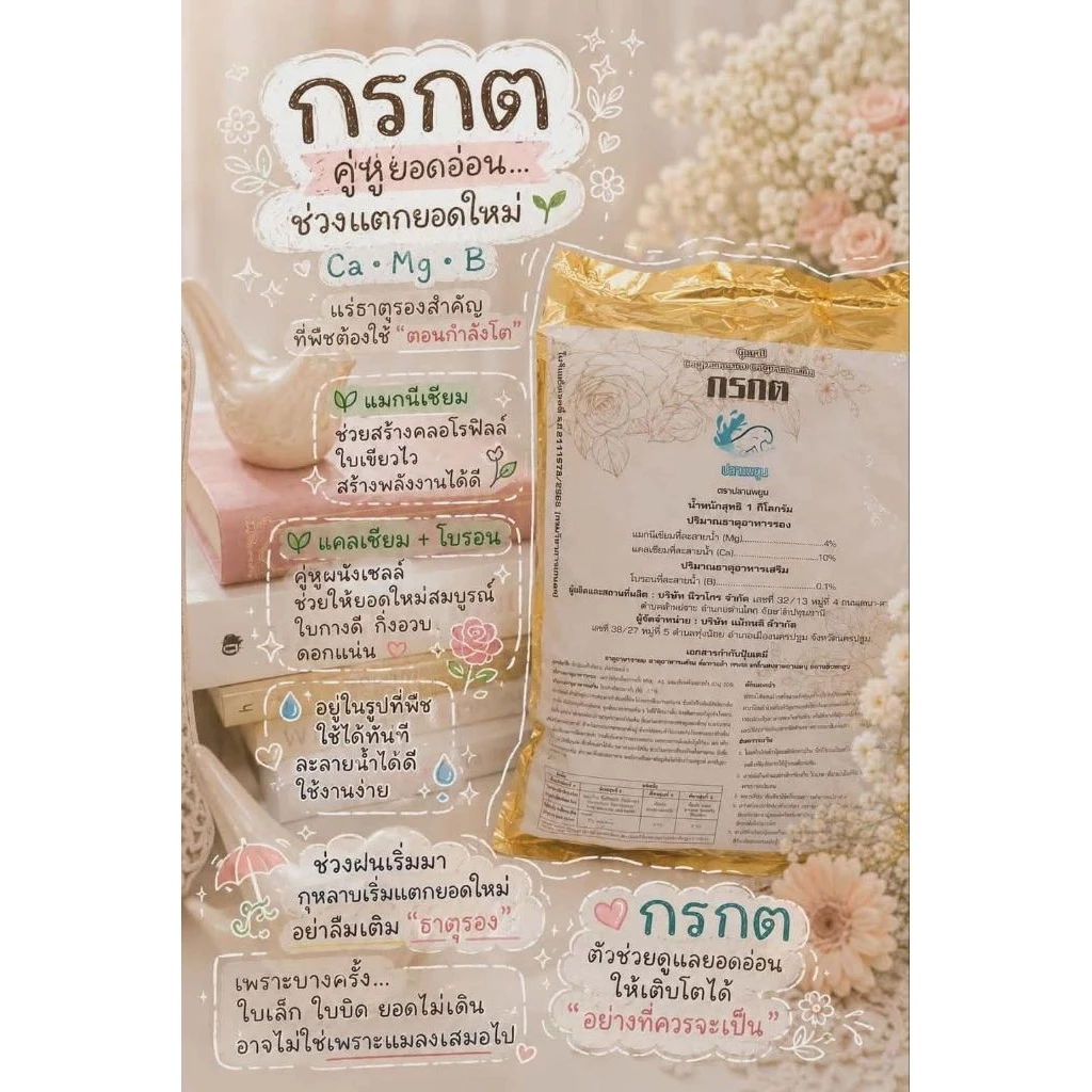 ปุ๋ยสารเสริมกรกตยอดยืดเร็วและสมบูรณ์ ขนาดใบใหญ่ ไม่เกิดอาการใบบิดงอ