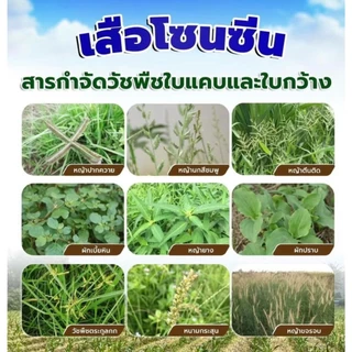 **ยกลัง20ถุง**เสือโซนซีน 1 กก.มีโซไตรโอน 8%+อะทราซีน 80.8% สูตรเม็ดแรงกว่า3เท่า กำจัดวัชพืชในไร่อ้อย ข้าวโพด