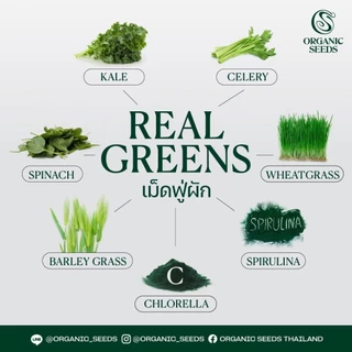 Real Greens เม็ดฟู่ ผักรวม ผลิตจากเยอรมนี