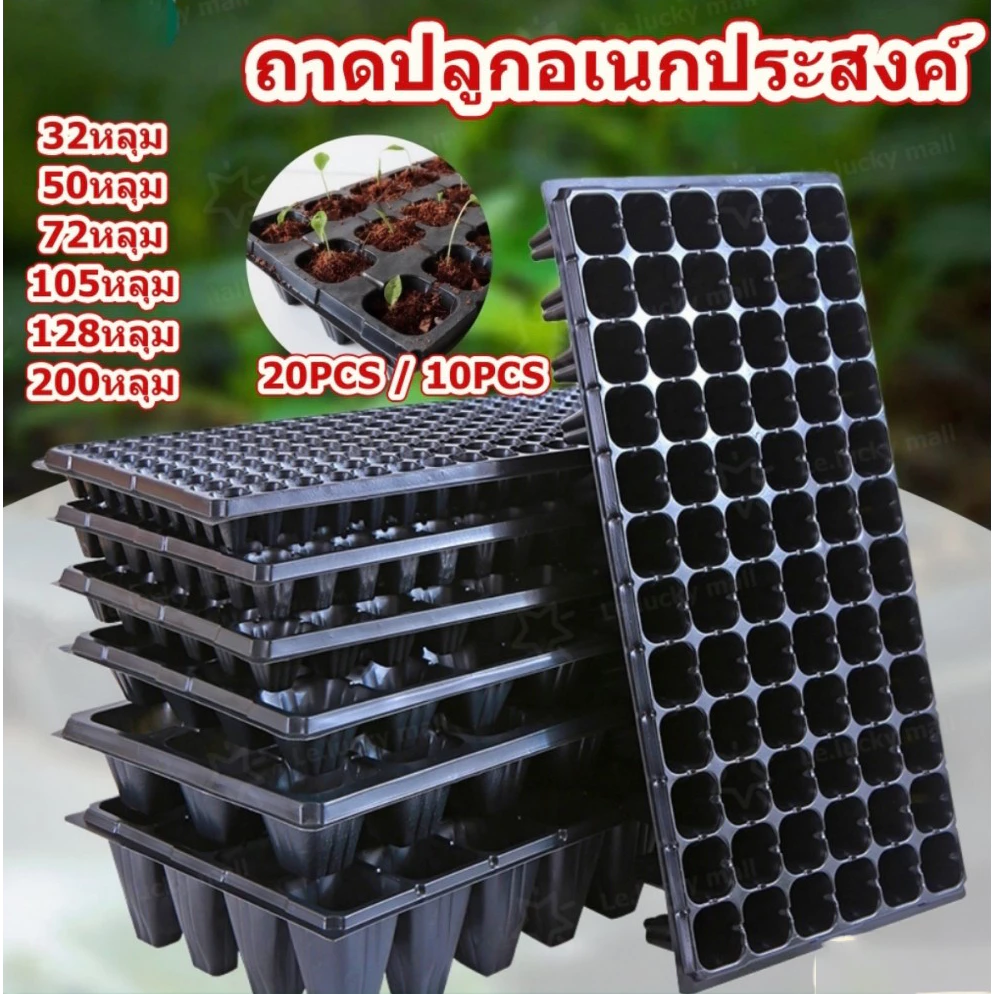 ถาดเพาะกล้าไฮโดร PPคุณภาพดี พร้อมฟองน้ำ เพาะเมล็ดผักสลัด 32-200หลุม กรีนโอ๊ค คอส เรดโอ๊ค ต้นอ่อน ไมโครกรีน