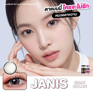 คอนแทคเลนส์ wink Janis เทา/ตาล ตาโต