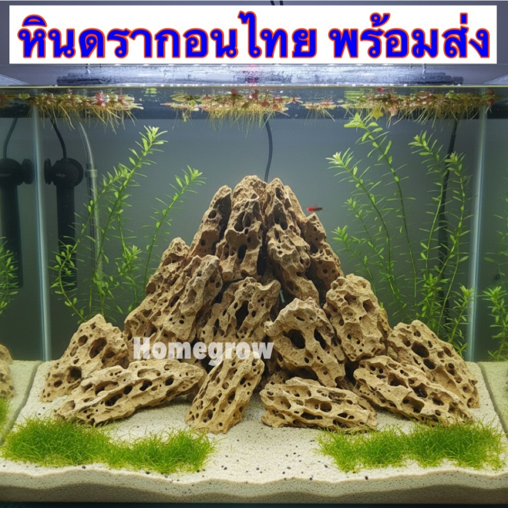 หินจัดสวน หินตู้ปลา หินดรากอนไทย หินตกแต่ง หินรู หินบอนไซ หินชั้น หินจัดตู้ปลา หินเลยเอ้า