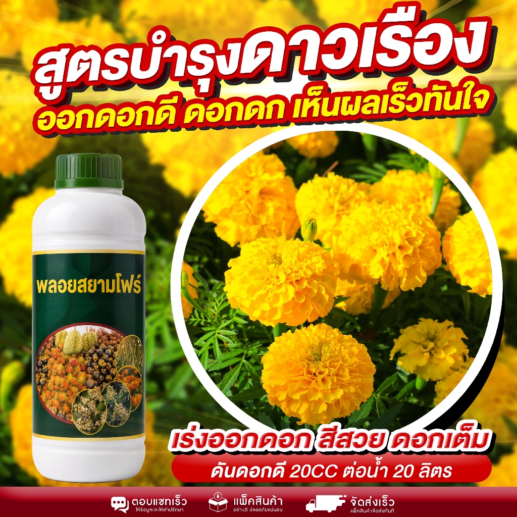 สูตรบำรุงดาวเรือง ดอกดก สีเหลืองสด เห็นผลไวทันใจ ตัวช่วยเร่งดอกให้แน่นเต็มพุ่ม เพิ่มจำนวนดอกแบบชัดเจน เร่งออกดอกไว