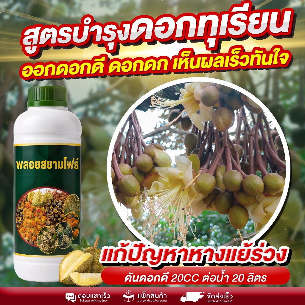สูตรบำรุงดอกทุเรียน ดอกดก เห็นผลเร็วทันใจ เร่งดอกให้พุ่งแรง ช่อแน่น ติดผลดี เพิ่มผลผลิตแบบชัดเจน ออกดอกดี ดอกดก