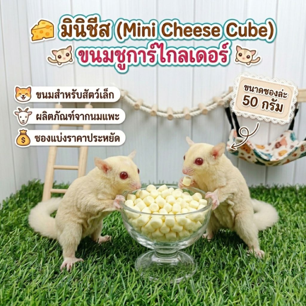 มินิชีส (Mini Cheese Cube) ขนมสัตว์เล็ก