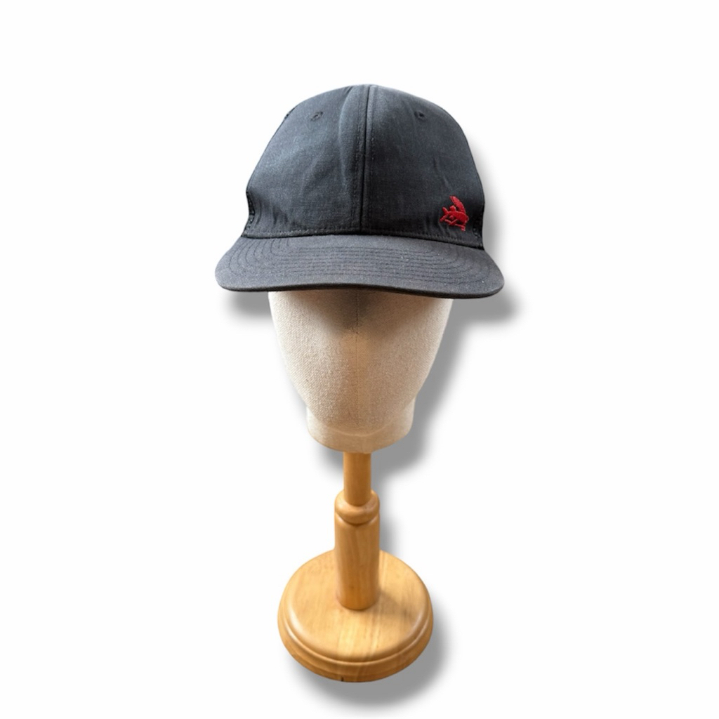 Patagonia Trucker Snapback Hat