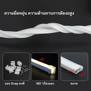 [ป้อนสวิตช์ปลั๊ก] 220v นีออน 3M-20M ไฟตกแต่งกันน้ำสำหรับห้องนั่งเล่นห้องนอนเพดานหัวเตียงงานแต่งงานตกแต่งแถบแสง