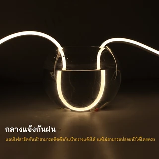 [ป้อนสวิตช์ปลั๊ก] 220v นีออน 3M-20M ไฟตกแต่งกันน้ำสำหรับห้องนั่งเล่นห้องนอนเพดานหัวเตียงงานแต่งงานตกแต่งแถบแสง