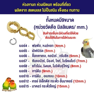 โซ่สแตนเลสสำหรับนก โซ่คล้องขานก ยาว50/80/100ซม โซ่นกค็อกคาเทล ฟอพัส หงษ์หยก เลิฟเบิร์ด ใช้เป็นสายจูง