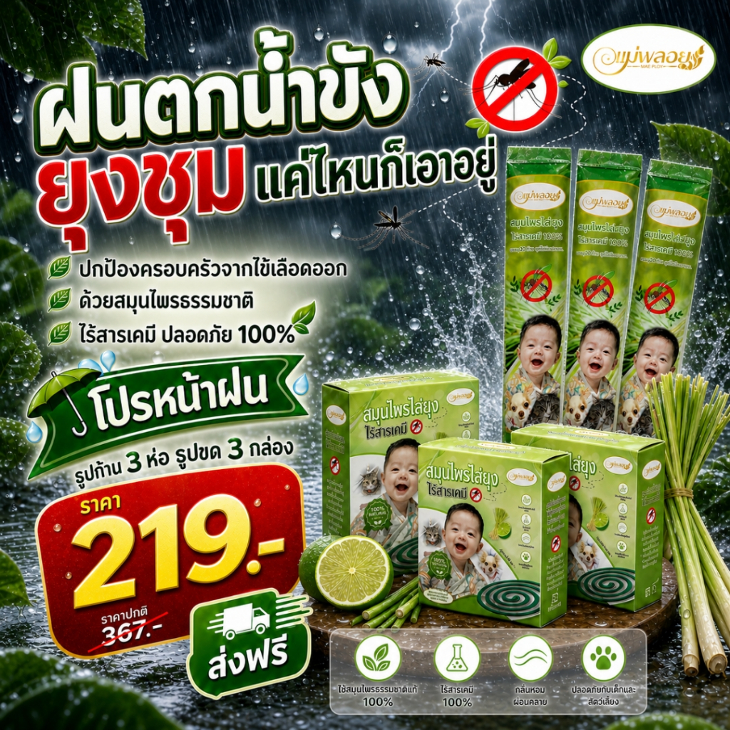 โปรหน้าฝน โปรโมชั่น 219
