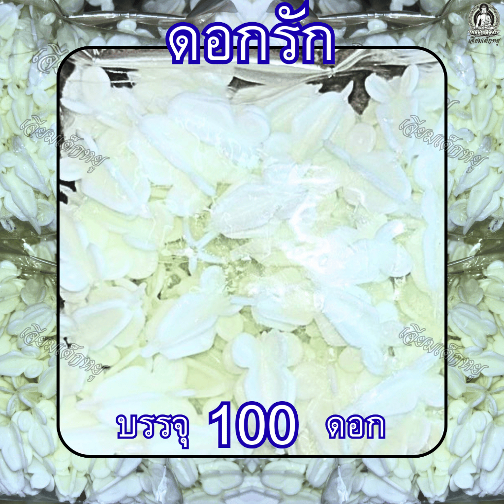 ดอกรัก ดอกรักพลาสติก สำหรับงานประดิษฐ์ 100 ดอก