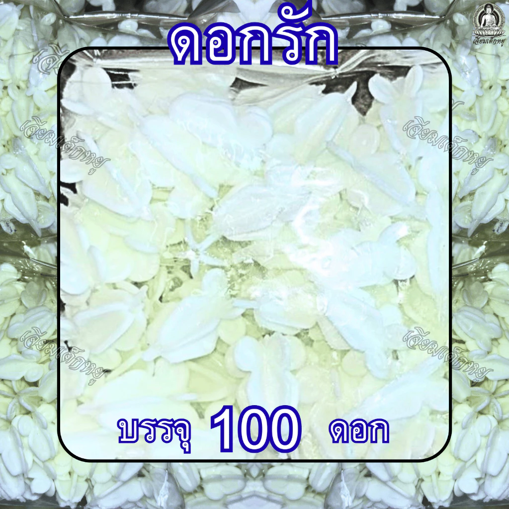 ดอกรัก ดอกรักพลาสติก สำหรับงานประดิษฐ์ 100 ดอก