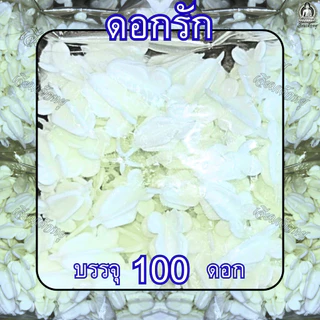 ดอกรัก ดอกรักพลาสติก สำหรับงานประดิษฐ์ 100 ดอก