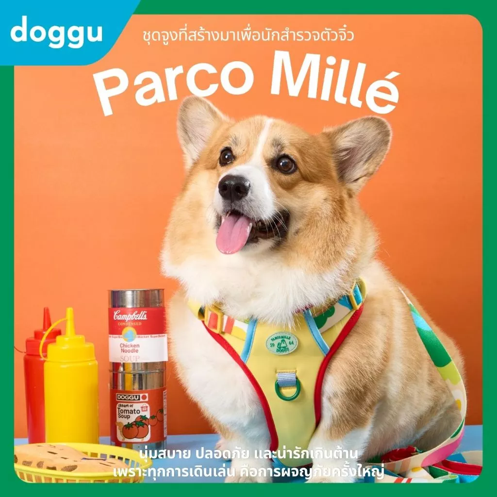 [พร้อมส่ง] DOGGU NEW Parco Mille Harness Set รุ่นใหม่ เซ็ตสายรัดอกพร้อมสายจูง น้องหมา แมวใส่ได้ ใส่ง่าย สายจูง 180 ซม.