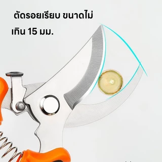 ส่งจากไทย กรรไกรตัดกิ่งไม้ คีมตัดกิ่ง ปากโค้ง แต่งกิ่งสแตนเลส เครื่องมือสวน
