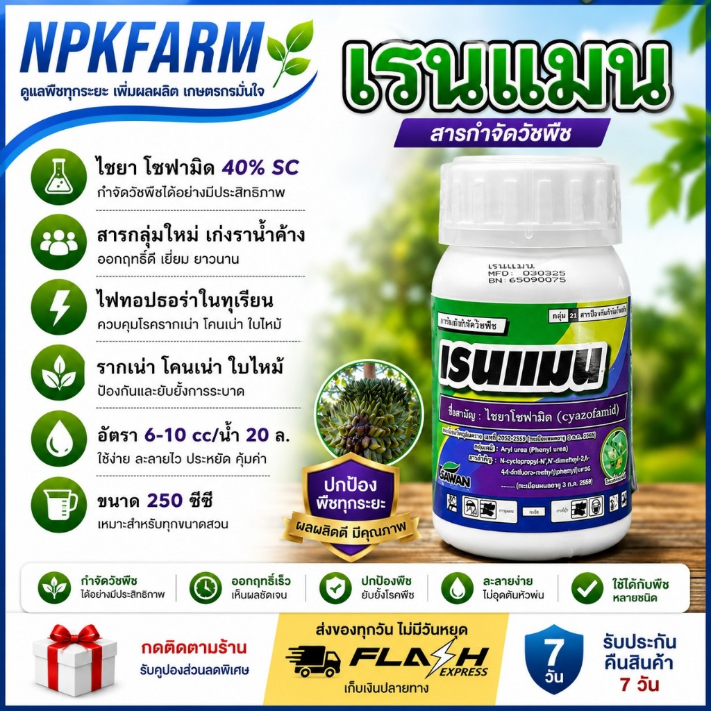 เอราวัณ เรนแมน ไซยาโซฟามิด ขนาด 250 ซีซี กำจัดเชื้อรา ราน้ำค้าง รากเน่าโคนเน่า ไฟทอปเทอรา ใบลายใบจุด