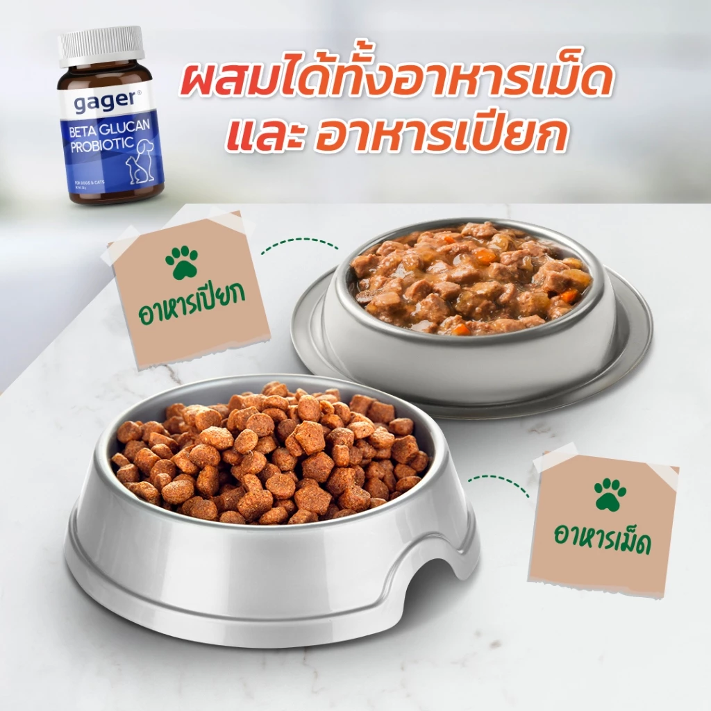 Gager (กาเจอร์) วิตามินหมา วิตามินแมว ผงเบต้ากลูแคน+โปรไบโอติค2in1 เสริมสร้างภูมิคุ้มกัน กลิ่นไก่ผสมตับ  (มีตัวเลือก) thumbnail 7
