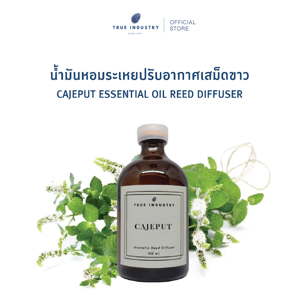 ก้านไม้หอมปรับอากาศ เสม็ดขาว 100 ml. (Cajeput Essential Oil Reed Diffuser) แถมฟรี ไม้หวาย 8 ก้าน