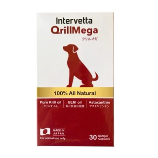 Qrill Mega อาหารเสริม บำรุงข้อสุนัข สุนัขข้ออักเสบ สุนัขปวดข้อ