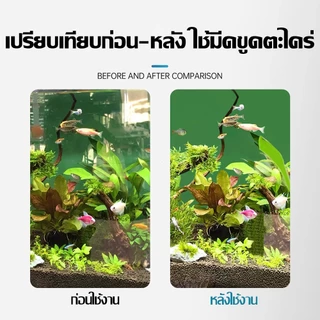 มีดขูดสาหร่ายและแปรงยาว ทำความสะอาดตู้ปลา ขจัดคราบตะไคร่น้ำ ไม่ทำลายกระจก ใช้ง่ายทุกมุมตู้ปลา