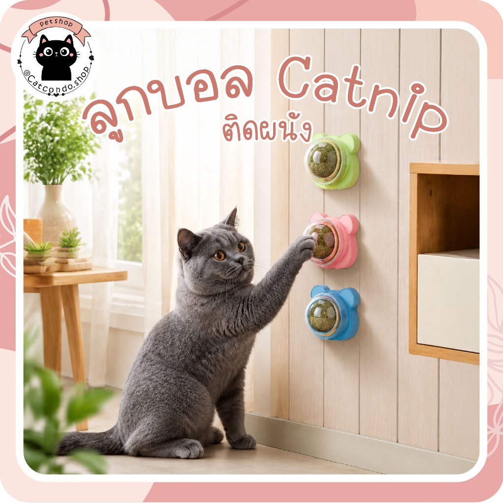 ลูกบอลcatnip(รูปหมี) ลูกบอลแคทนิปติดผนัง ของเล่นแมวเลียได้ ลูกบอลแมวหมุนได้ ของเล่นลดเครียดแมว ขัดฟันแมว ติดผนังได้