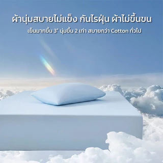 🧊ผ้าปูที่นอนเย็น ผ้าไหมน้ำแข็ง ผ้าปูที่นอน 6ฟุต 5ฟุต ลายสีพื้น กันไรฝุ่น นอนนุ่มเย็นลื่นสบาย รัดมุม ยางรัดมุม cool sheet