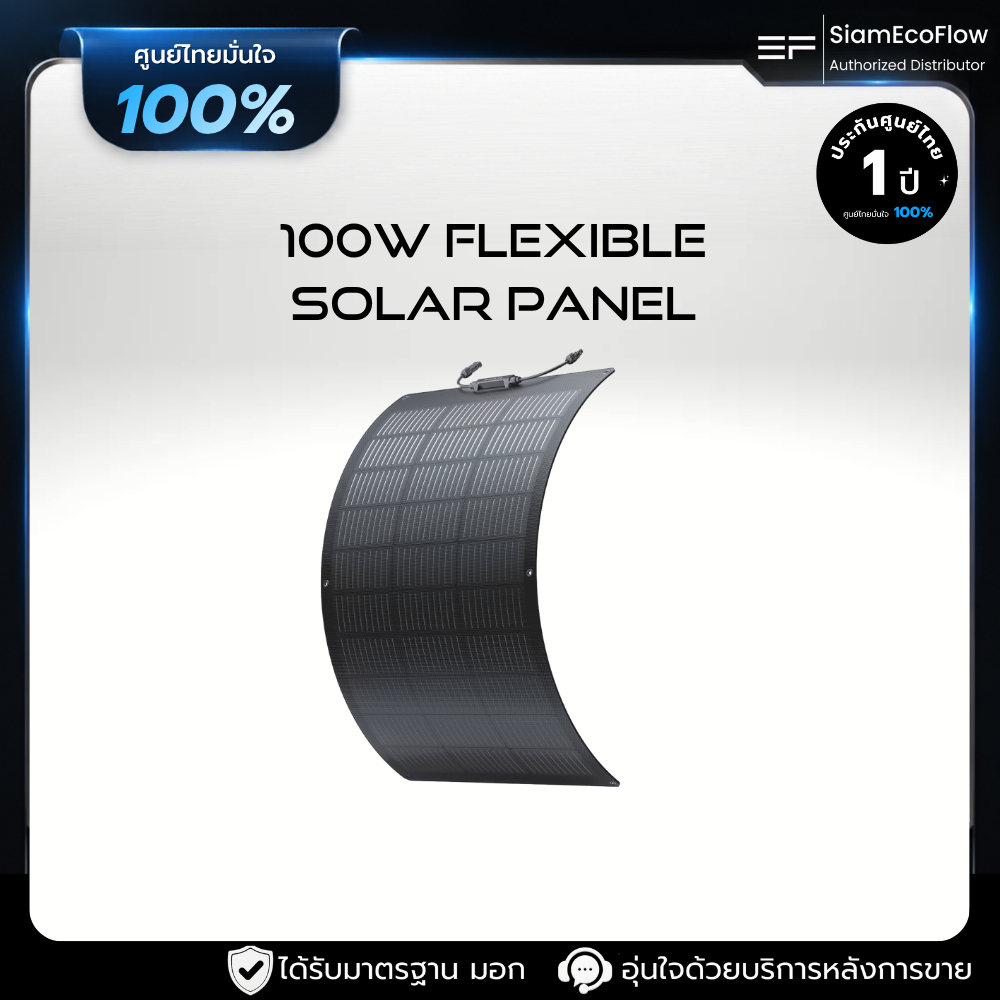 EcoFlow 100W Flexible Solar Panel