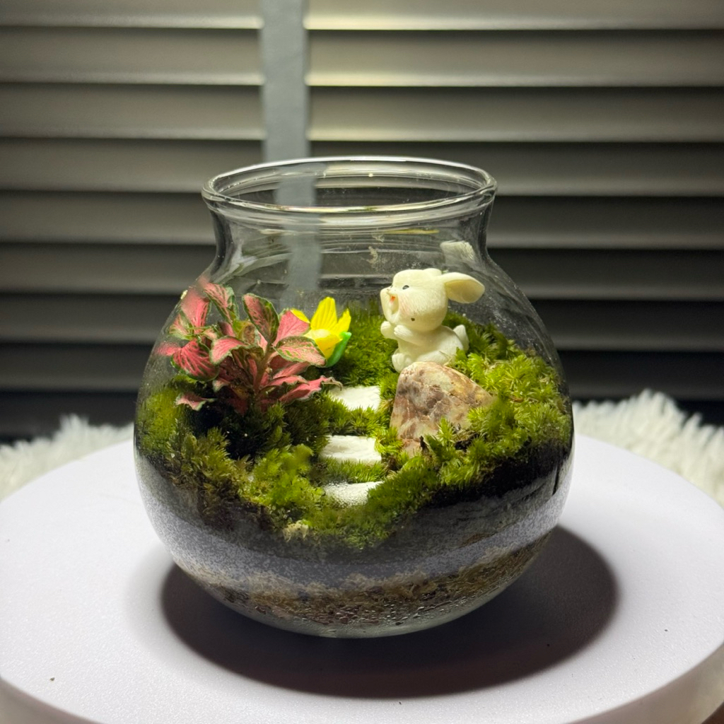 สวนขวดแก้ว Terrarium มีไฟในขวด