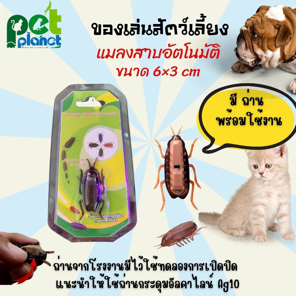 [6×3 cm] แมลงสาบหยอกแมว ของเล่นแมว ใช้ไว้แกล้ง แมว สุนัข อุปกรณ์สัตว์เลี้ยง