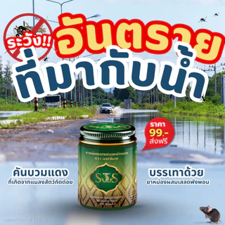 STS ยาหม่องสมุนไพรผสมเสลดพังพอน บรรเทาอาการคันบวมแดงและอักเสบจากแมลงสัตว์กัดต่อย